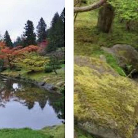 Arboretum Escape Villa Seattle Dış mekan fotoğraf