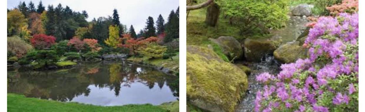 Arboretum Escape Villa Seattle Dış mekan fotoğraf